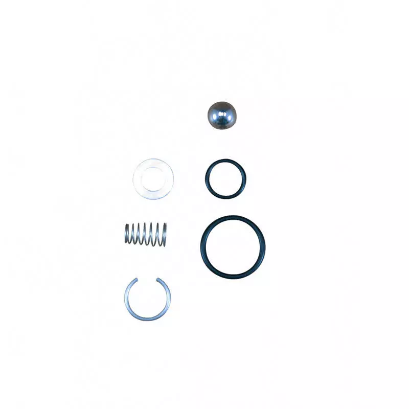 Kit de reparation clapet anti-retour RP (siege ø8,2MM - bille ø10MM ) KRANZLE Référence 44566.1